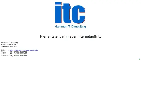 hammer-it-consulting.de