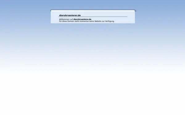 dierohrsanierer.de