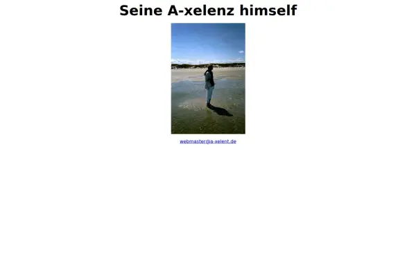 a-xelent.de