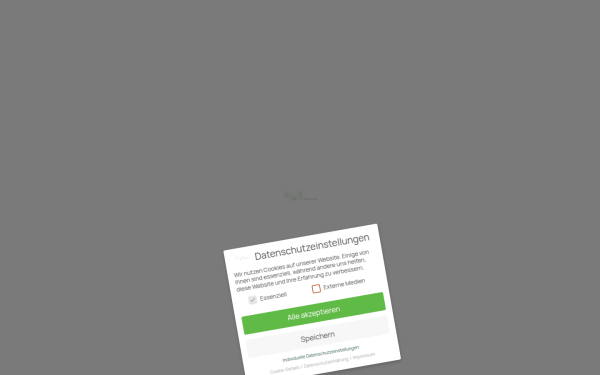 gws-spritzguss.de