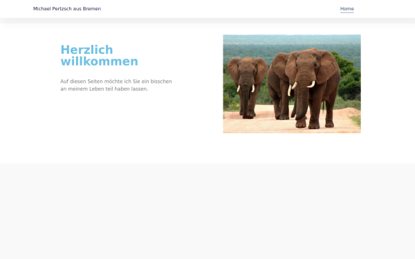 www.michael-pertzsch.de