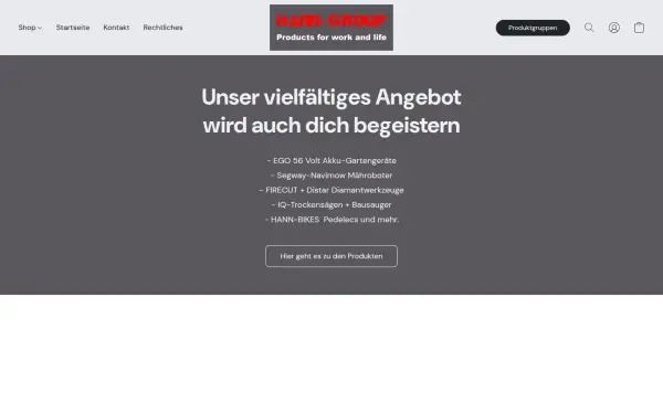 hann-group.de