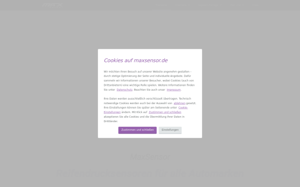 www.maxsensor.de