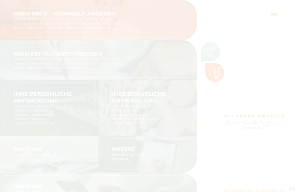 www.michaelaangerer.at
