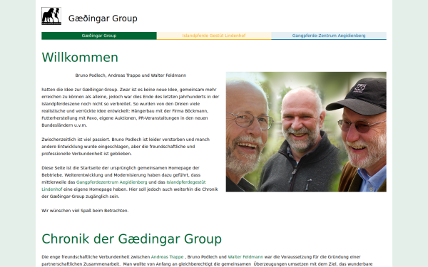 gaedingar-group.de