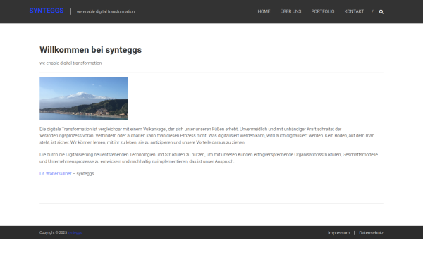 www.synteggs.com