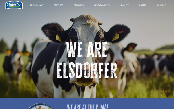 elsdorfer.de
