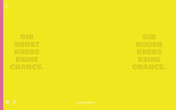 checkdichselbst.de