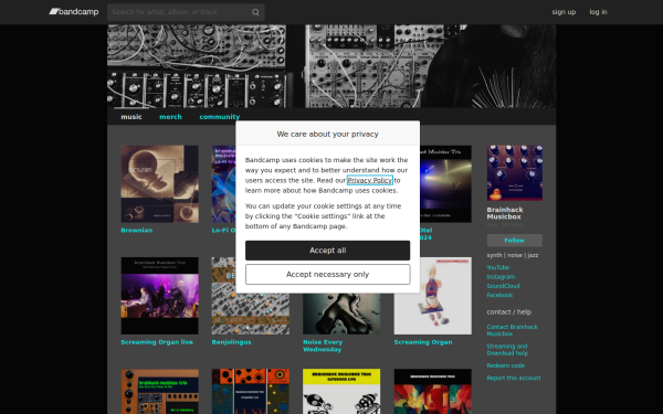 brainhackmusicbox.bandcamp.com