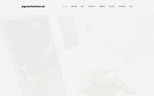pigmentteilchen.de