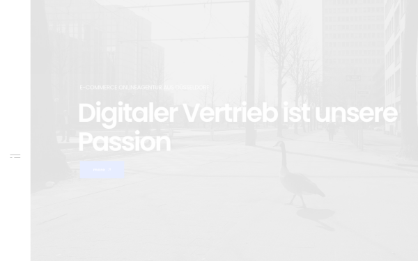 www.moreperform.de