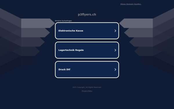 p3flyers.ch