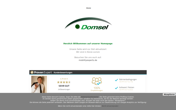 www.domsel-consulting.de