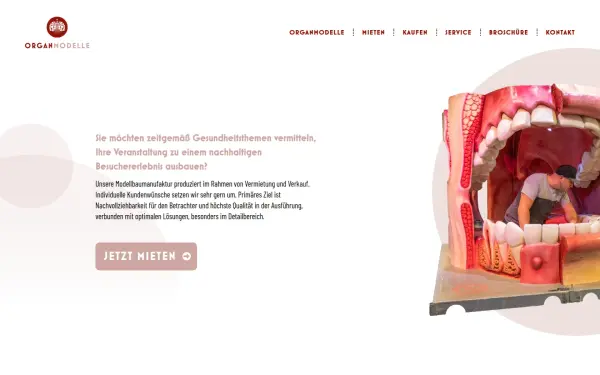 organmodelle.de