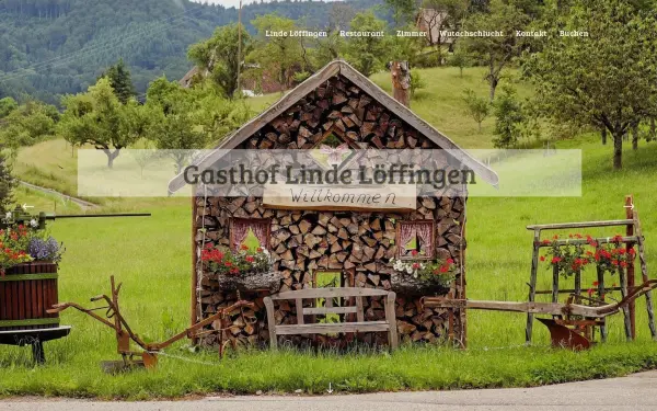www.linde-loeffingen.de