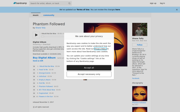 shanetullymusic.bandcamp.com
