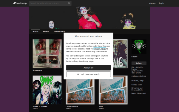 snakepunkdeath.bandcamp.com