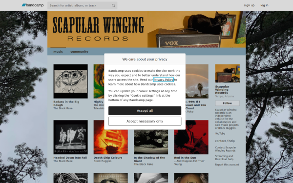 scapularwinging.bandcamp.com