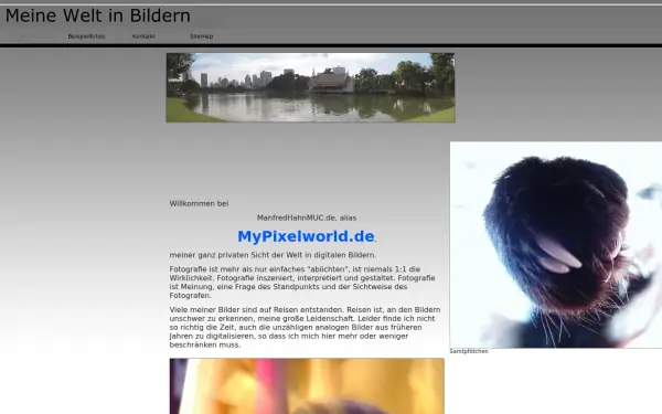 manfredhahnmuc.de