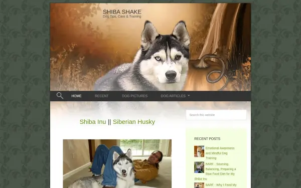 www.shibashake.com
