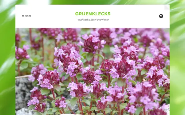 www.gruenklecks.de