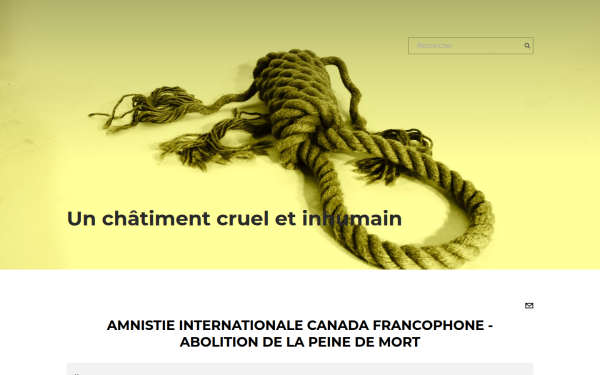 amnistiepdm.org
