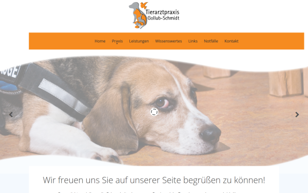 giessen-tierarzt.de