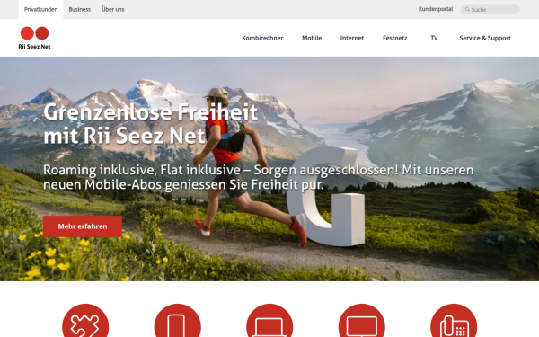 riiseeznet.ch