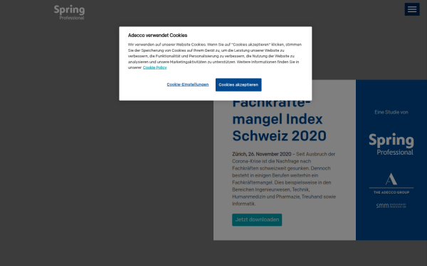 ssi.springprofessional.ch