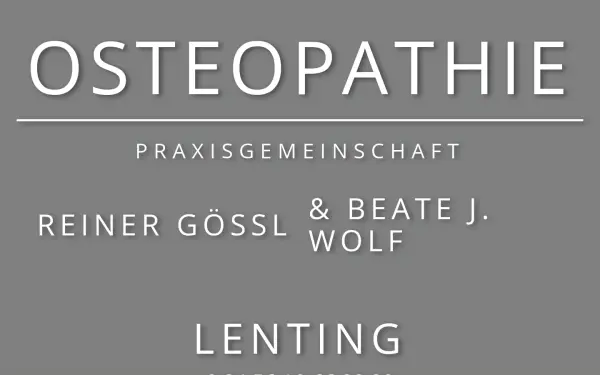 goessl-lenting.de