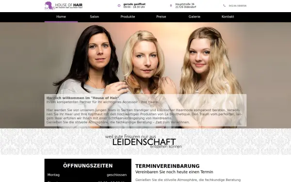 die-haarstylisten.de