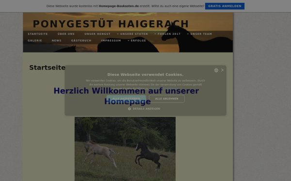 ponygestuet-haigerach.de.tl