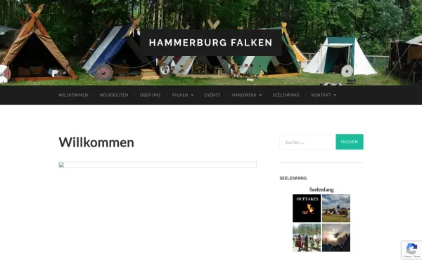 hammerburg-falken.de