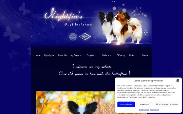 nightfires.info