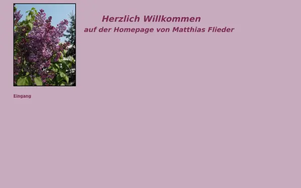 matthiasflieder.de