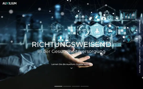 www.auxiliumgruppe.de