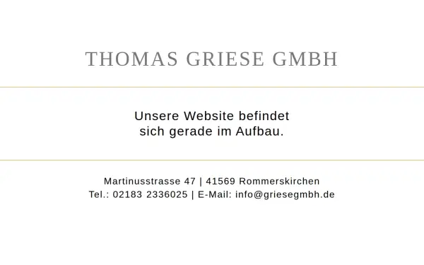 griesegmbh.de