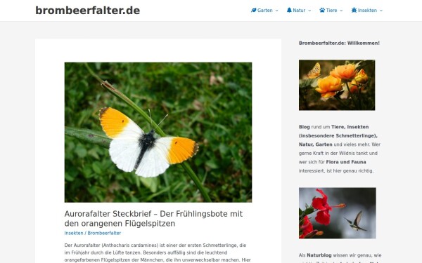 brombeerfalter.de