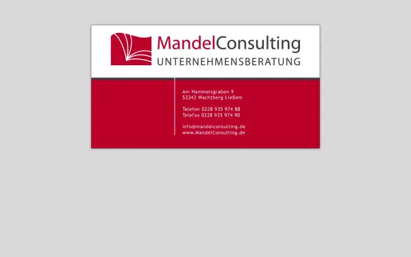 mandelconsulting.de