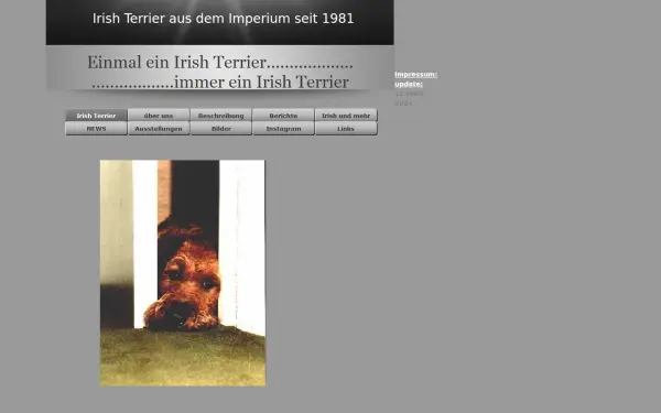 www.irishterrier.de