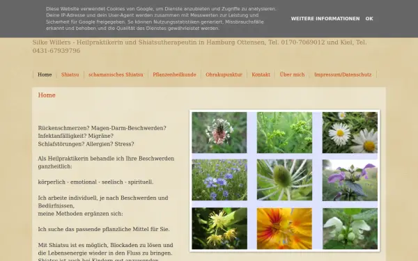 heilpraxis-willers.blogspot.com