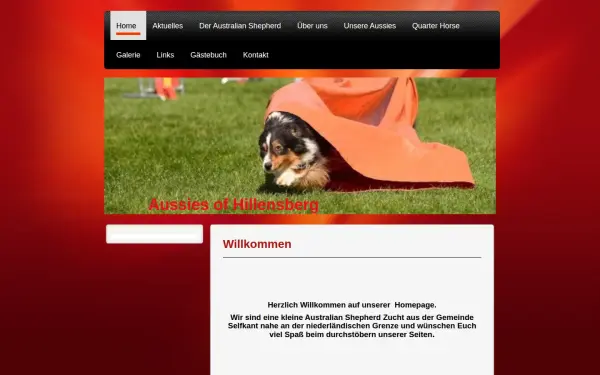 www.aussiesofhillensberg.de