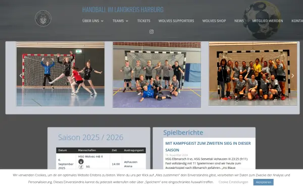 hsg-wolves.de