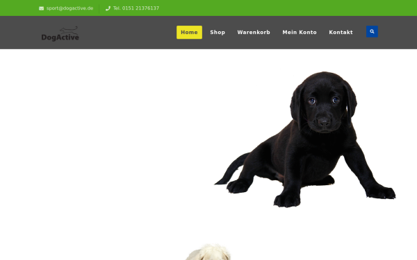 dogactive-peine.de