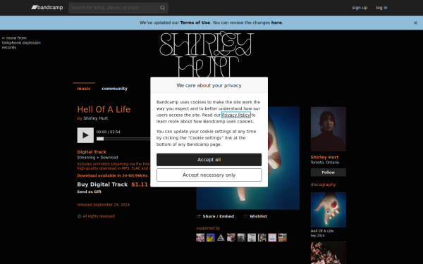 shirleyhurt.bandcamp.com