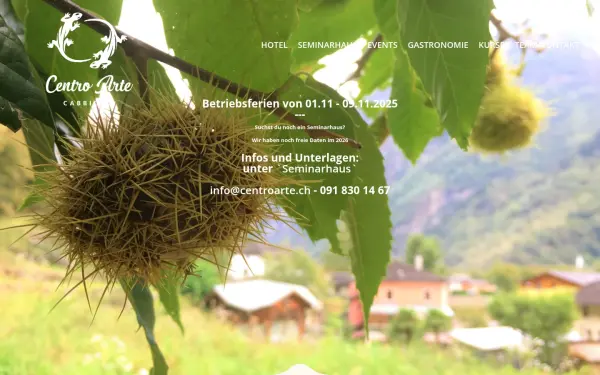 www.centroarte.ch
