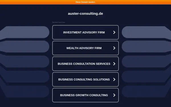 auster-consulting.de