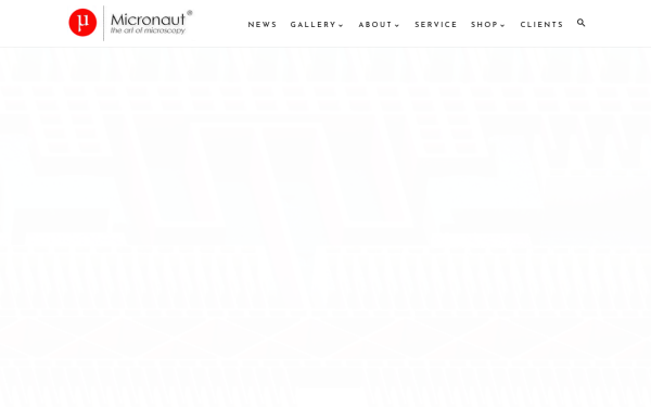 www.micronaut.ch