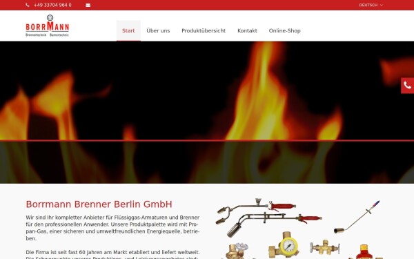 borrmann-berlin.de