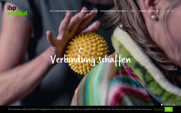 ibp-institut.ch